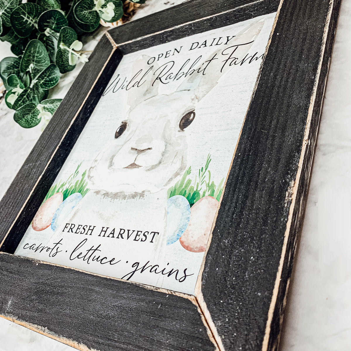 Wild Rabbit Farms
