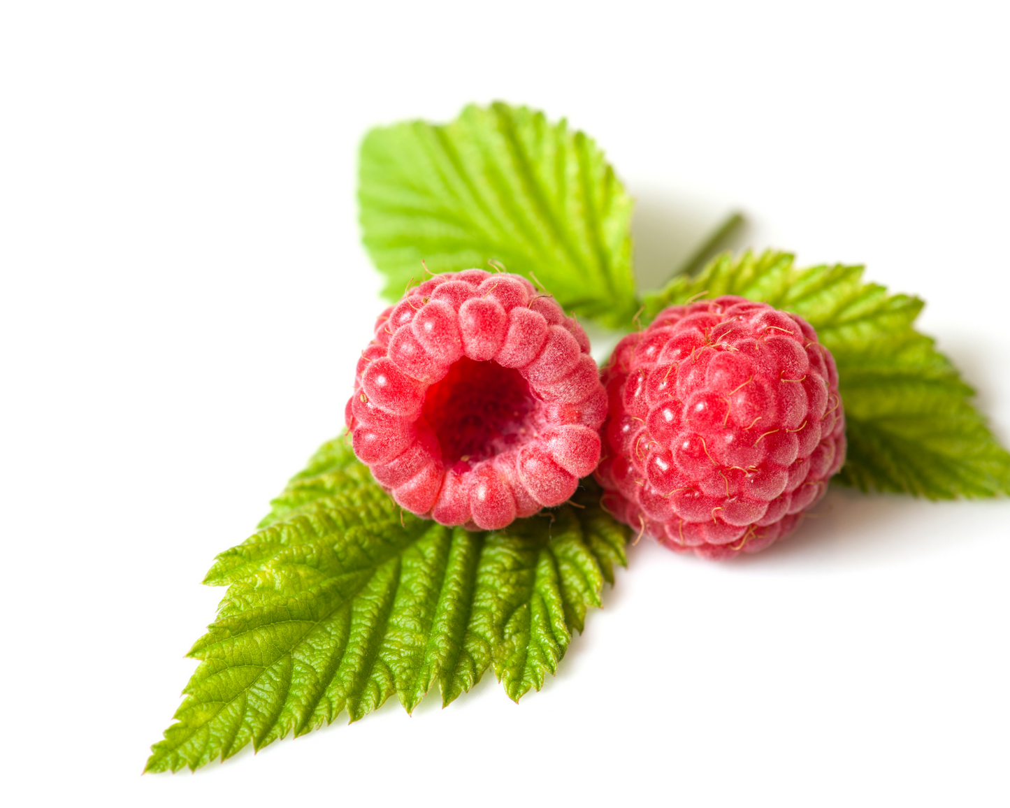 Raspberry - Keto